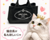 プラダの人気トートバッグ**「カナパ」**をお買取りさせていただきました。U